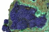 Sparkling Azurite Crystals with Botryoidal Malachite - China #351331-4